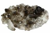 Smoky Quartz Crystal Cluster - Brazil #124604-1